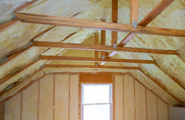 Best Best Insulation Companies  in Wells Branch, TX