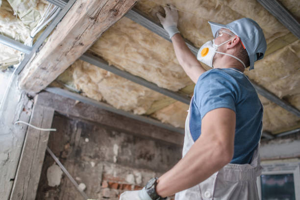 Best Garage Insulation Installation  in Wells Branch, TX