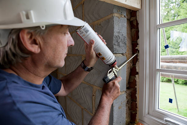 Best Spray Foam Insulation  in Wells Branch, TX