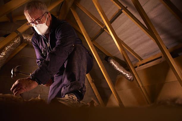 Best Insulation for New Construction  in Wells Branch, TX