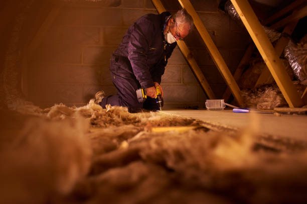 Best Local Insulation Services  in Wells Branch, TX